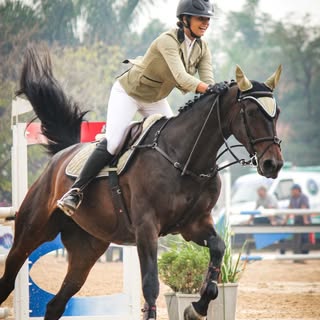 Paloma Martins Reidl