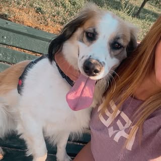 Giannina Carla Silva Varela