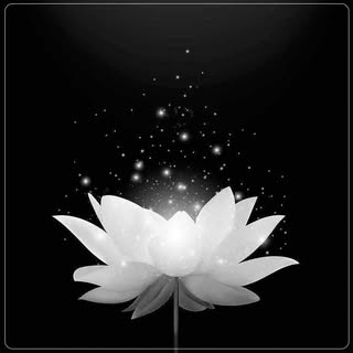 Nguyễn Thị Ngọc Châu