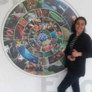 Ingrid Díaz Arteaga