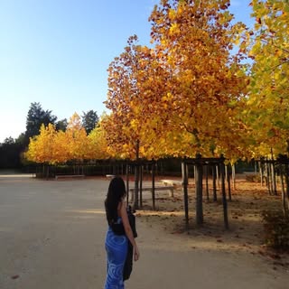 María Belén Breilh