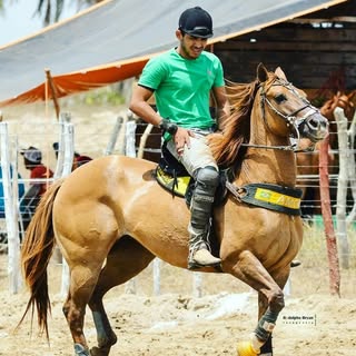 Melissa Naldinho Coelho Barbosa