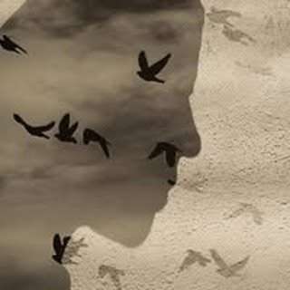 Dimitra Kitsiou