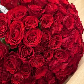 Nomin-Erdene Bayarkhuu