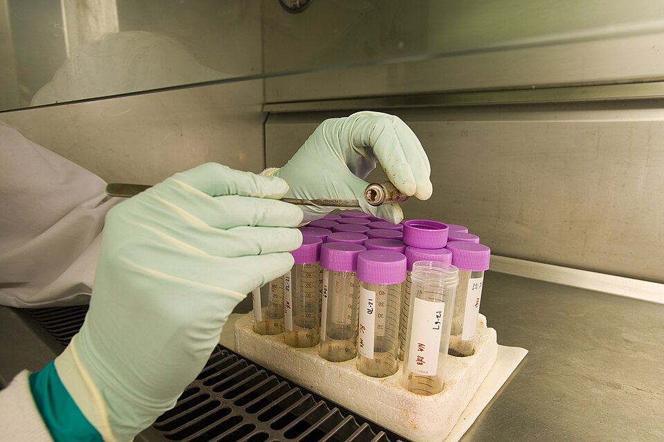 Karen Susana Schwarz Espinoza