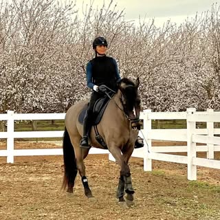 Gabriela Hidalgo Arreaza