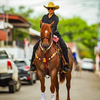 Daris Nicole Sánchez Brandao