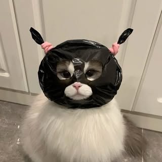 Orakanya Pong-amphai