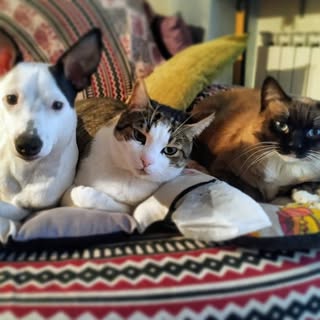 Martha Cristina Díaz Moscoso