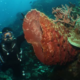 Sinta Septia Dewi