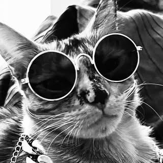 Marynes Argüello César